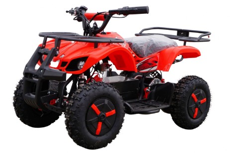 Mini Quad 800W 36V