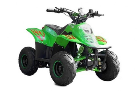 Quad Big Foot 800W 36V