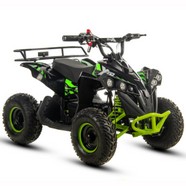 QUAD XTR E-M12 1000W (2).JPG