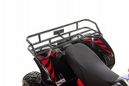 QUAD XTR E-M12 1000W (32).JPG