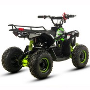 QUAD XTR E-M12 1000W (6).JPG