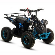 QUAD XTR E-M12 1000W (8).JPG